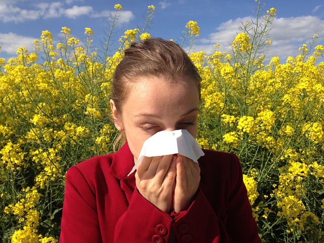 Allergia ellen